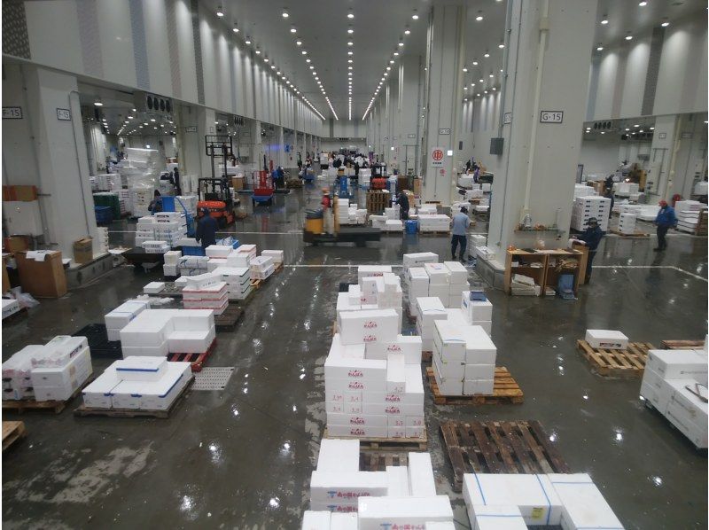 【東京・豊洲市場】豊洲市場見学ツアー 全街区まるわかりコースの紹介画像