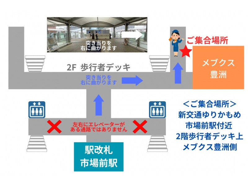 【東京・豊洲市場】豊洲市場見学ツアー 全街区まるわかりコースの紹介画像