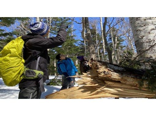 【北海道・知床】絶景!けもの道スノーシューイング 【北海道・知床】絶景!けもの道スノーシューイング