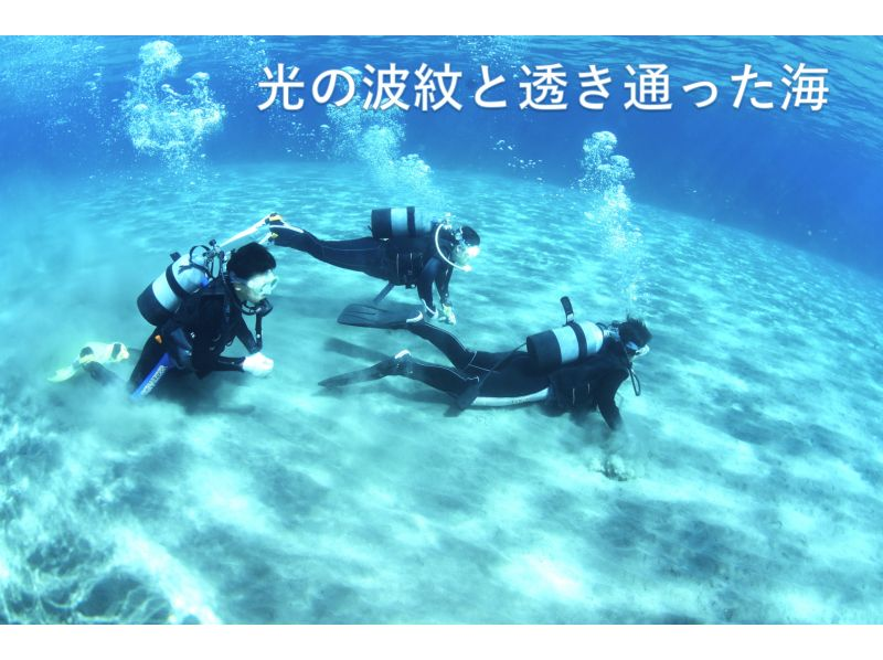 [Sado] Half-day introductory diving 3-hour course! A dedicated guide for one group "private charter" for peace of mind ♪ We will guide you to the "beautiful underwater world" (no license required)の紹介画像