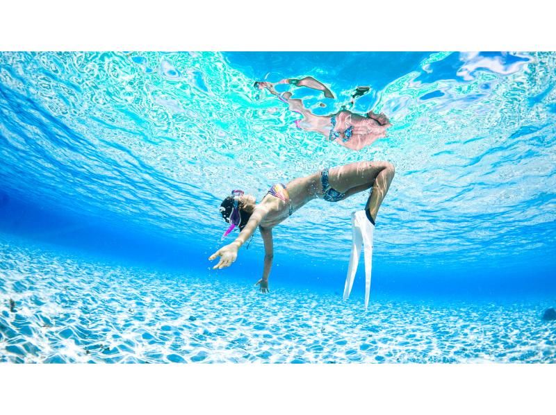 Yaebise Skin Diving Tourの紹介画像