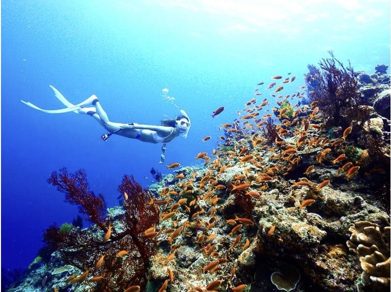 What is Yabiji? A thorough introduction to Japan's largest group of coral reefs on Miyako Island!