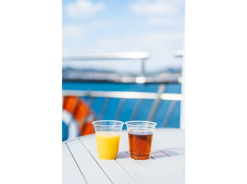 [Hyogo/Kobe] Cruise with 1 soft drink, select from 4 courses (lunch, tea, twilight, night)