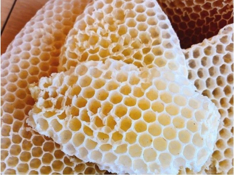 東京・門前仲町｜天然ミツロウで作るアロマハンドクリーム作り体験＜平日限定＞の紹介画像