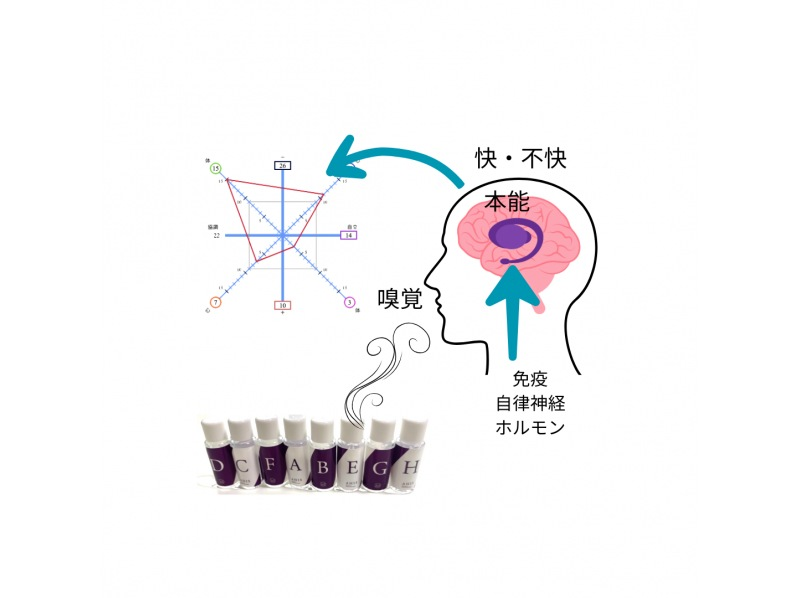 【東京・富岡】＜土日祝プラン＞8種の香りで体質や性格、ストレス度を分析しよう！嗅覚反応分析体験 の紹介画像