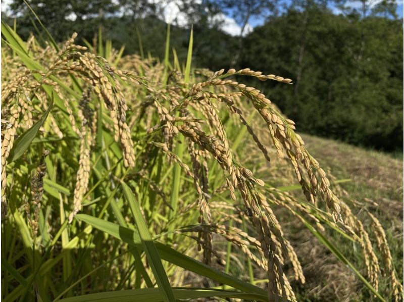 [Nagano/Ina] Day trip/Old house rental/Hearty-grilled lunchの紹介画像
