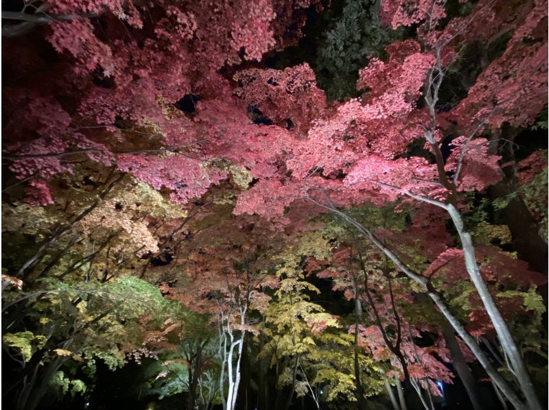 Autumn leaves tour Hakodate city 3-hour course Couple/Family/Photography