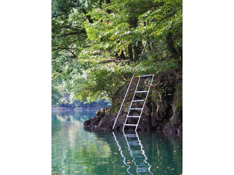 【奥多摩SUPデビュー】【ワンちゃん同伴OK】流れの穏やかな絶景湖で水上散歩。初心者も安心の2時間たっぷりレンタルプランの紹介画像