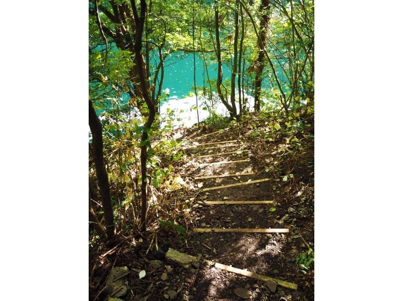 【奥多摩SUPデビュー】【ワンちゃん同伴OK】流れの穏やかな絶景湖で水上散歩。初心者も安心の2時間たっぷりレンタルプランの紹介画像