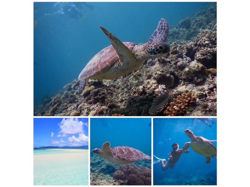 [Ishigaki Island/Taketomi Island] The popular spot of the phantom island and sea turtle snorkeling ☆ Recommended for beginners, couples, and women who want to enjoy three things! Super Summer Sale 2024の紹介画像