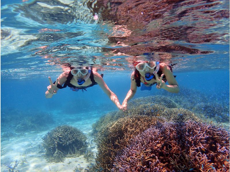[Ishigaki Island/Taketomi Island/About 3 hours] Phantom Island + Snorkeling ☆ A popular course where you can enjoy 3 things including sea turtles and clownfish! Recommended for beginners, couples, and women!の紹介画像