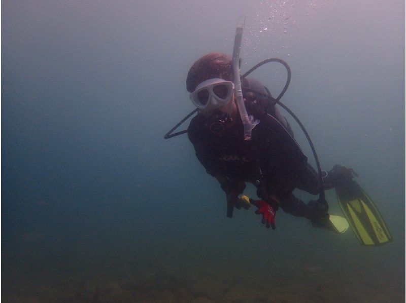 【青森・夏泊】短い青森の夏を満喫！初めての体験ダイビング！1名様～予約OK!!「完全貸切」の紹介画像