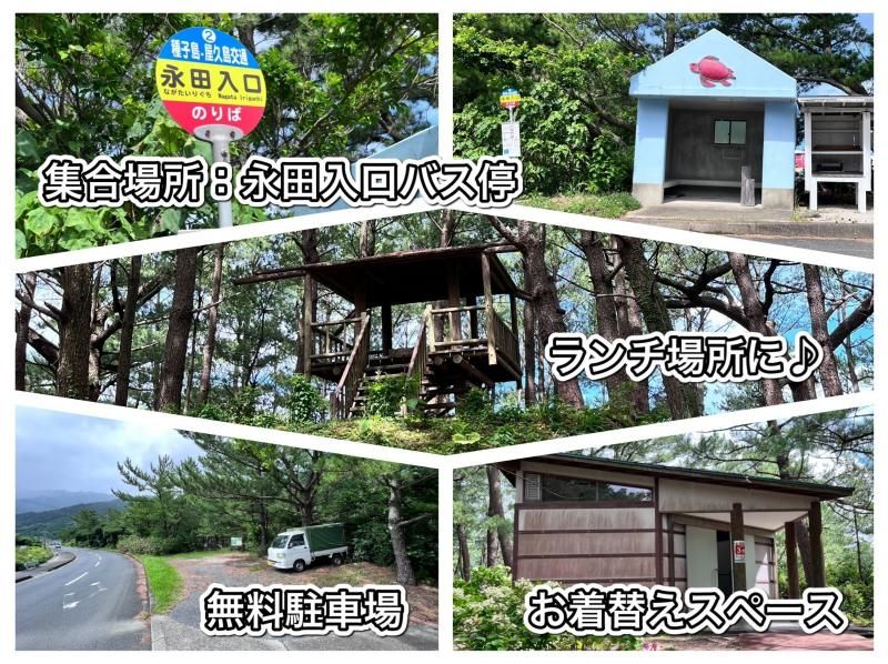 SALE! [Yakushima/Nagata SUP Nature Experience] Add a fun river adventure to your adventure near Inakahama! Relax and enjoy the crystal clear Nagata River!の紹介画像