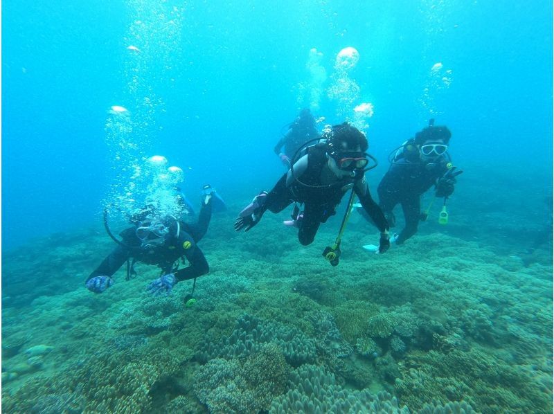 오키나와 본섬 요미탄 마을 "체험"보트 다이빙 2 다이브에서 | 조용한 지역에서 한가로이 다이빙 체험の紹介画像