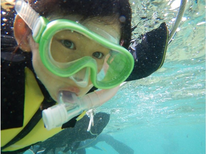 [Okinawa ・ Onna village] Blue cave snorkel adventure tourの紹介画像
