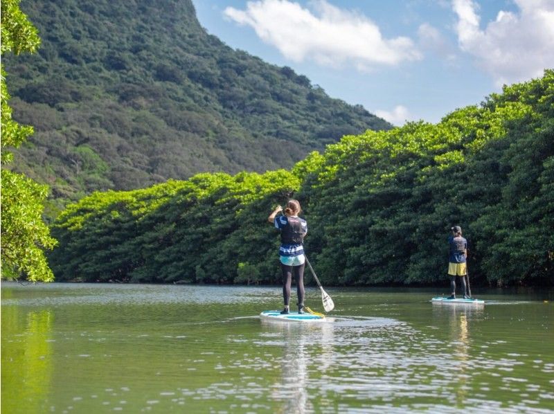 A woman enjoying a SUP tour at Sangara Falls on Iriomote Island, organized by ADVENTURE PiPi