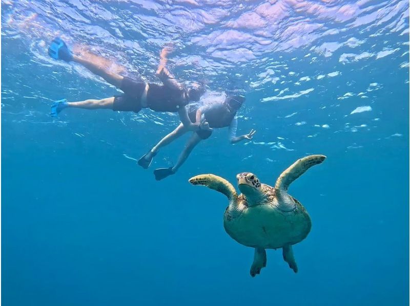 [Iriomote Island/1 day] Aiming for "Mizuochi Falls"! Mangrove SUP or canoeing & Barasu Island snorkeling [free photos]の紹介画像