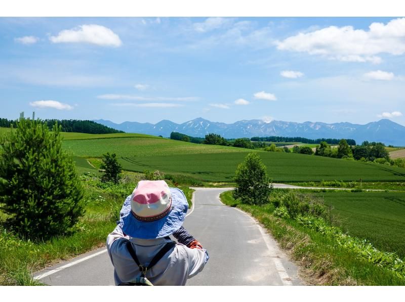 [Hokkaido Biei] Let's walk refreshingly! Biei Patchwork Hill Walk (Takushinkan Course)の紹介画像