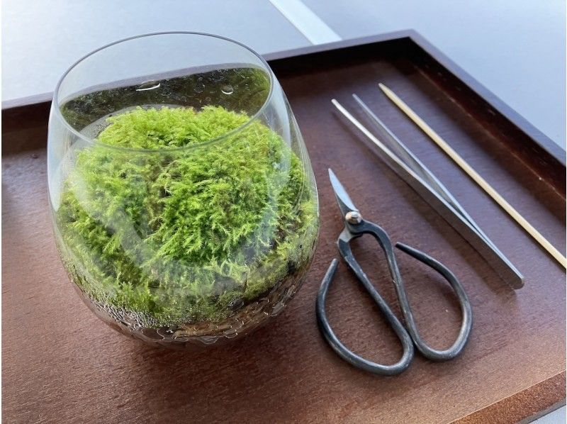 [Nagano, Lake Shirakaba] Moss terrarium making experience Even if you are alone, you are welcome! A workshop that parents and children can do Moss terrarium making experienceの紹介画像