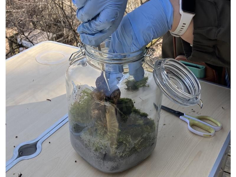 【長野・白樺湖】苔テラリウム　製作体験　90分プラン　お１人様でも大歓迎!!　ワークショップ　苔　テラリウム 作り 体験の紹介画像