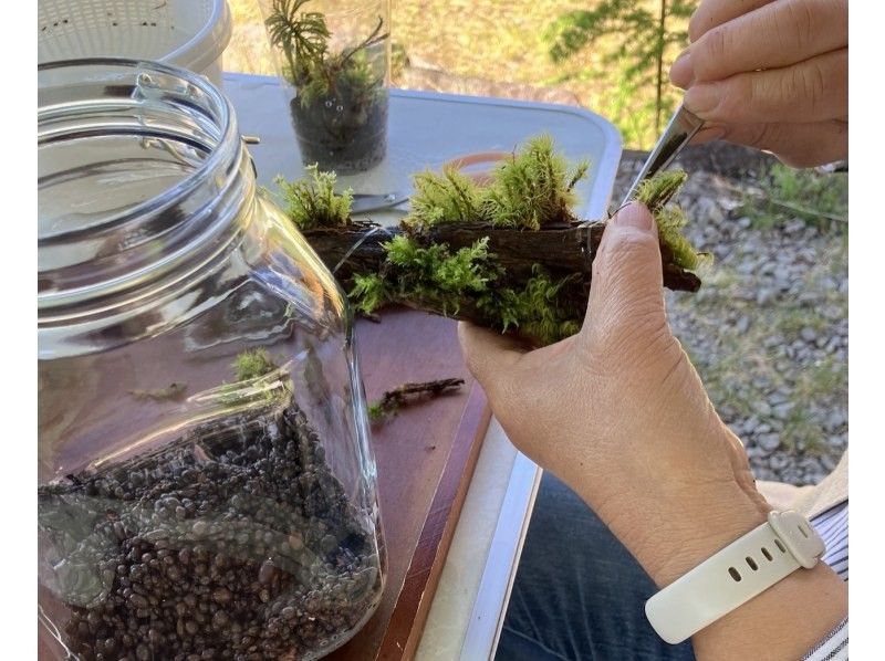 [Nagano, Lake Shirakaba] Moss terrarium making experience Even if you are alone, you are welcome! A workshop that parents and children can do Moss terrarium making experienceの紹介画像