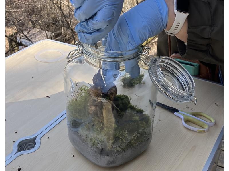 [Nagano, Lake Shirakaba] Moss terrarium making experience Even if you are alone, you are welcome! A workshop that parents and children can do Moss terrarium making experienceの紹介画像