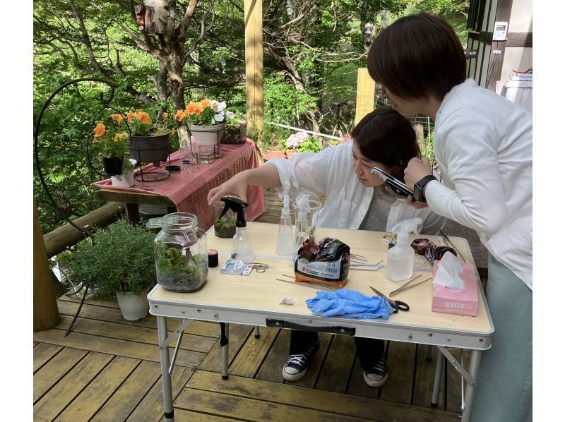 【長野・白樺湖】苔テラリウム　製作体験　90分プラン　お１人様でも大歓迎!!　ワークショップ　苔　テラリウム 作り 体験の紹介画像