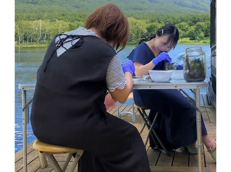 [Lake Shirakaba] Moss Terrarium Making Experience 90-minute Workshop Perfect for Independent Research! Moss Terrarium Experience Rainy Day Activityの紹介画像