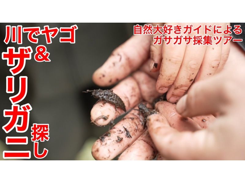 [Tokyo/Chofu] From 9:00 a.m. to 1:00 p.m. - For families *Tour to search for Kabukuwa larvae and spring water lizards in the forest (free rental of electric bikes with Baka boots and children's shoes)の紹介画像
