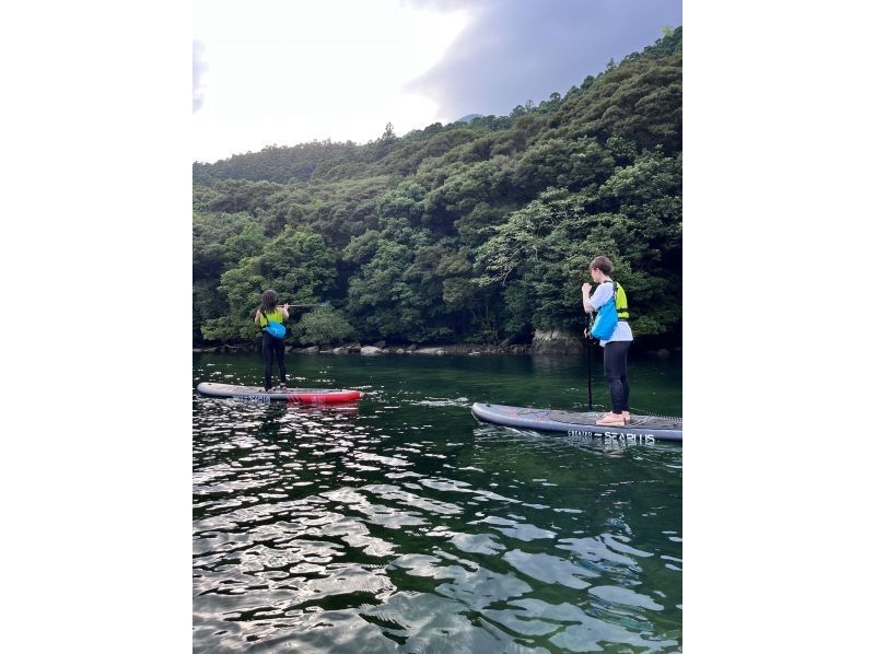 【貸切ツアー】【送迎有り】屋久島到着日、最終日にぴったり「宮之浦川SUPツアー」の紹介画像