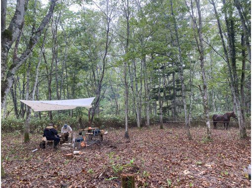 北海道・豊浦町】はたらく馬と過ごし木彫り馬をつくる〜「馬とつくる森