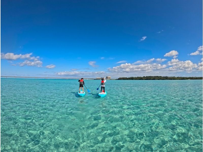 【貸切プライベートSUPツアー】安全重視ガイド２名（男女）付☆【ドローン＆GoPro】撮影無料 <SUPクルージングツアー>の紹介画像