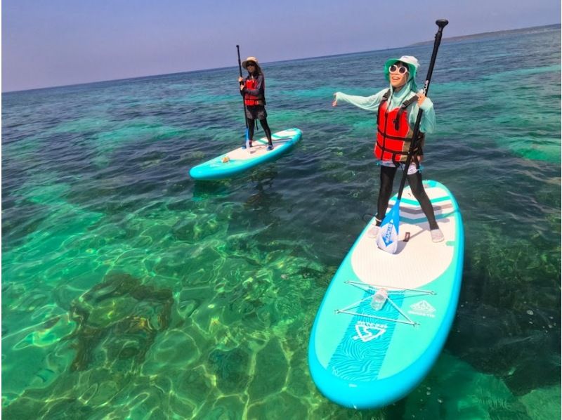 【１組貸切】安全重視ガイド２名（男女）付☆洞窟探検☆爆笑海遊び☆【最新ドローン＆GoPro】撮影無料 <SUPクルージングツアー>の紹介画像