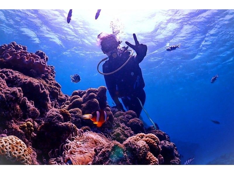 春季促銷正在進行中♪♪[沖繩/那霸]體驗充滿尼莫和珊瑚的潛水♪（每天4班）包括登機費，包括照片拍攝●推薦給女性和情侶●の紹介画像