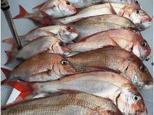 【長崎・長崎市】チャーターで行く!釣り&クルージングプラン|タイラバという釣り方で、マダイを狙うプランです|初心者歓迎| 【長崎・長崎市】チャーターで行く!釣り&クルージングプラン|タイラバという釣り方で、マダイを狙うプランです|初心者歓迎|