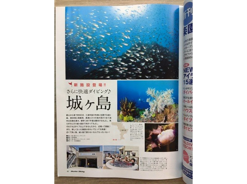 【無料送迎付】神奈川で辰年の『タツノオトシゴ』に会いに行こう！ 神奈川・城ヶ島 / リフレッシュ、体験ダイビングも可能ですの紹介画像
