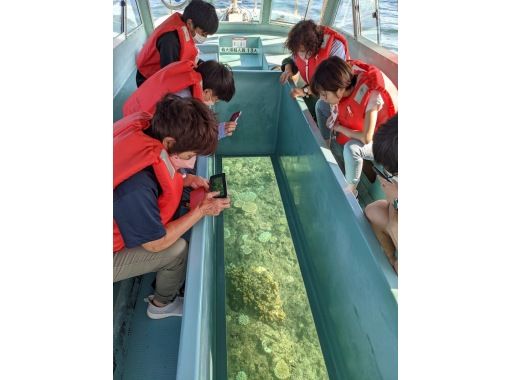 全国旅行支援 対象 沖縄 那覇発 ニライカナイ橋 斎場御嶽 絶景ランチと奥武島グラスボートでおきなわワールドコース ｄコース アクティビティジャパン