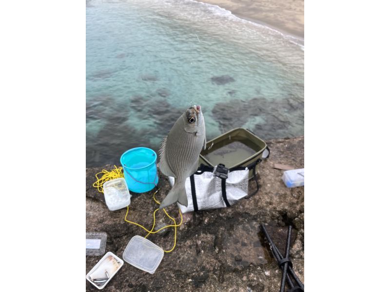 【鹿児島・屋久島】雨の日でも大丈夫。道具一式レンタルつき！手ぶらで気軽に海釣りを満喫しよう。初心者・女性・お子様歓迎！