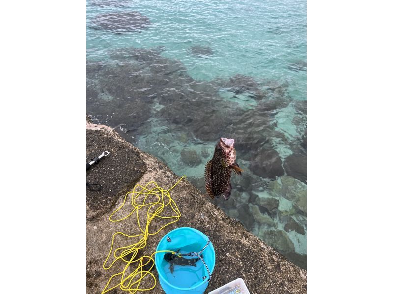 【鹿児島・屋久島】雨の日でも大丈夫。道具一式レンタルつき！手ぶらで気軽に海釣りを満喫しよう。初心者・女性・お子様歓迎！