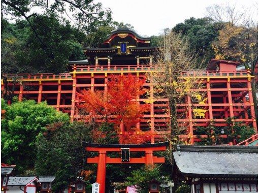 佐賀 武雄市立図書館と祐徳稲荷神社 福岡発プライベートツアー アクティビティジャパン