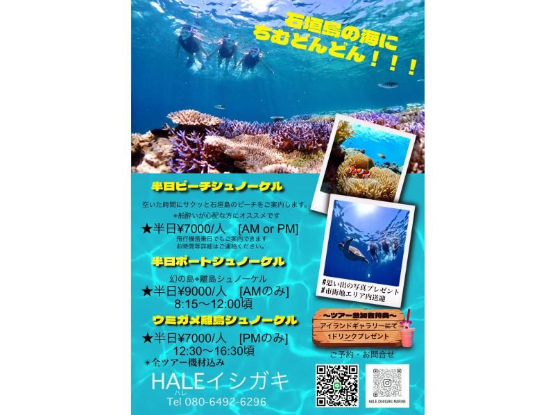 [Ishigaki Island / half day] Islanders carefully selected beach snorkel! Reservation OK even on the day of the flight!の紹介画像