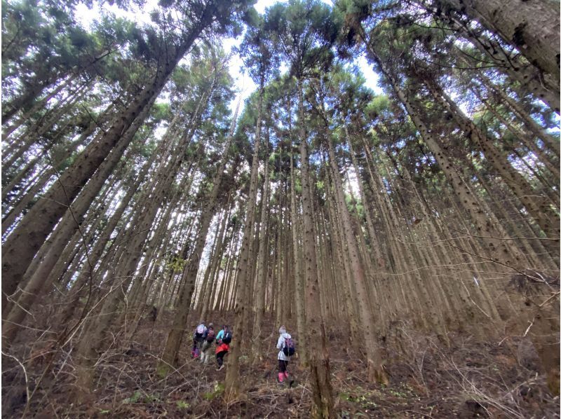 【福島県・いわき市】いわきあるき2024　【初心者向け低山登山～往生山登山～】の紹介画像