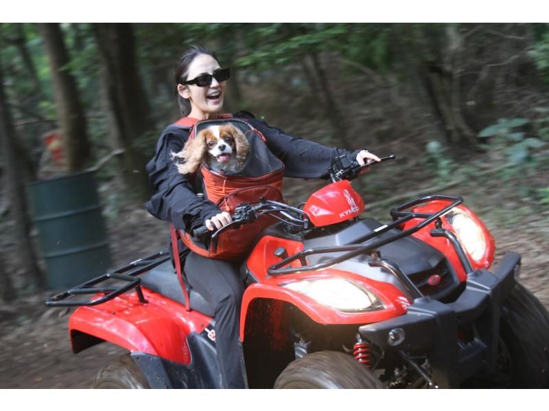 [Chiba/Inzai] 60 minutes from the city center ★ Can you bring your pet along?! Forest buggy experience ☆ No license required! Speed and excitement to the max! The number of girls who want to refresh themselves with buggies is increasing rapidly ♪の紹介画像