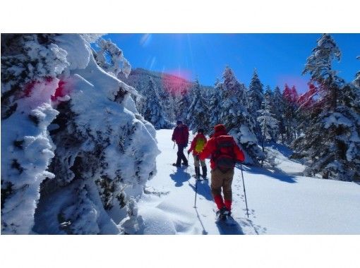 【長野・北八ヶ岳】3大アルプスの大パノラマ雪原と樹氷の森を歩く「スノーシューツアー」初心者歓迎 【長野・北八ヶ岳】3大アルプスの大パノラマ雪原と樹氷の森を歩く「スノーシューツアー」初心者歓迎