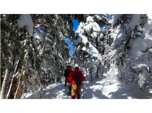 【長野・北八ヶ岳】3大アルプスの大パノラマ雪原と樹氷の森を歩く「スノーシューツアー」初心者歓迎 【長野・北八ヶ岳】3大アルプスの大パノラマ雪原と樹氷の森を歩く「スノーシューツアー」初心者歓迎