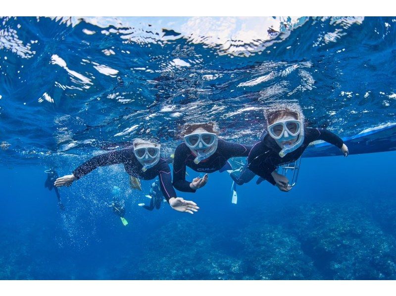 ≪Ishigakijima PM only≫ No. 1 popular sea turtle snorkel Photo, video, drink serviceの紹介画像