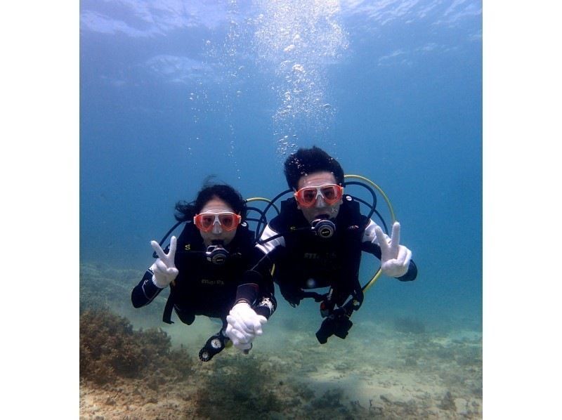 [오키나와현 &middot;토우카이해안 프라이빗 비치] 전세 한가로이 체험다이빙の紹介画像