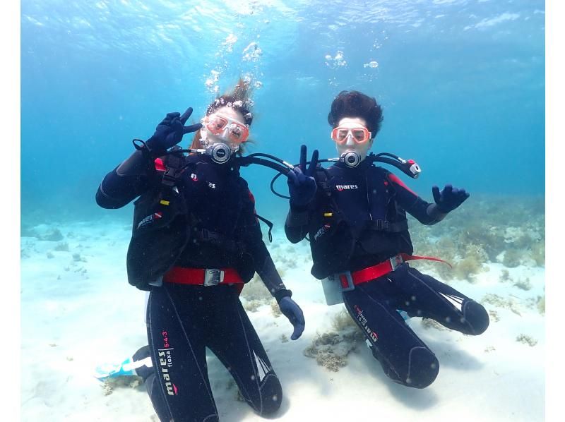 [오키나와현 &middot;토우카이해안 프라이빗 비치] 전세 한가로이 체험다이빙の紹介画像