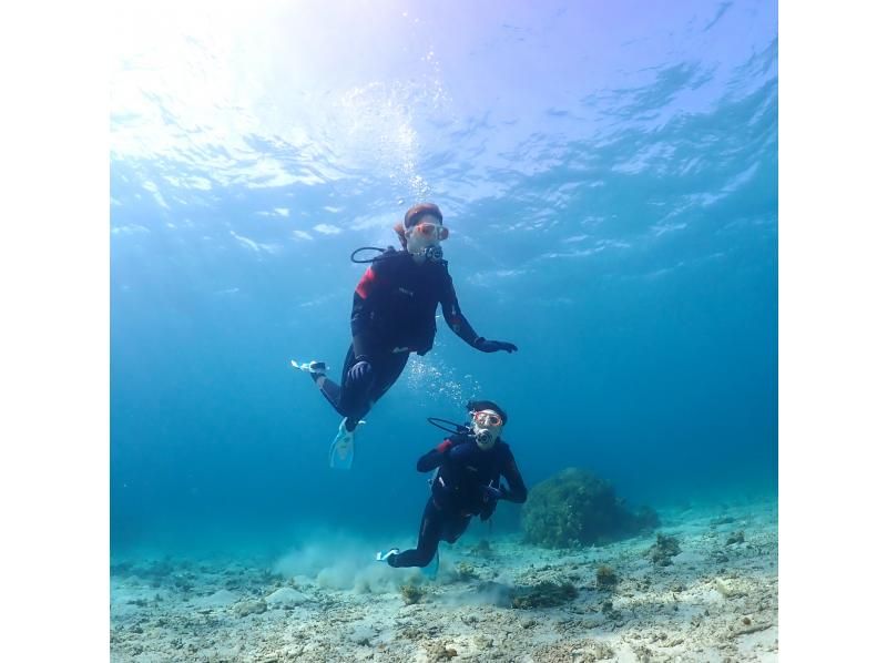 [오키나와현 &middot;토우카이해안 프라이빗 비치] 전세 한가로이 체험다이빙の紹介画像
