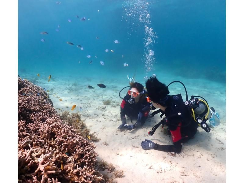 [오키나와현 &middot;토우카이해안 프라이빗 비치] 전세 한가로이 체험다이빙の紹介画像